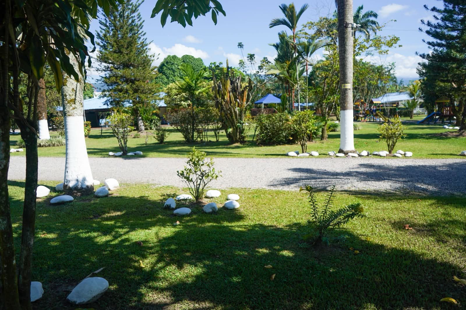 Cancha deportiva Stanford School