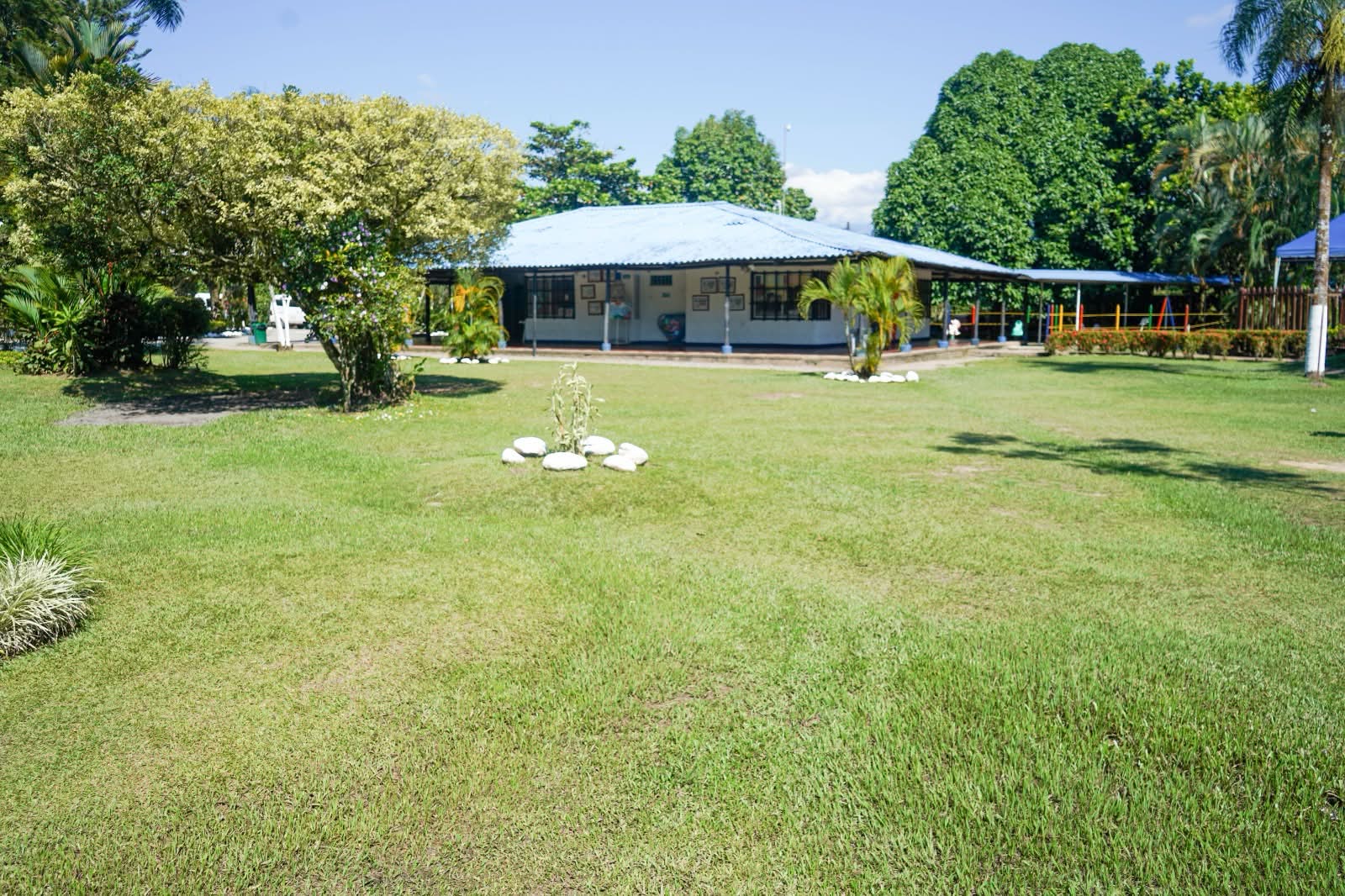 Zonas verdes Stanford School