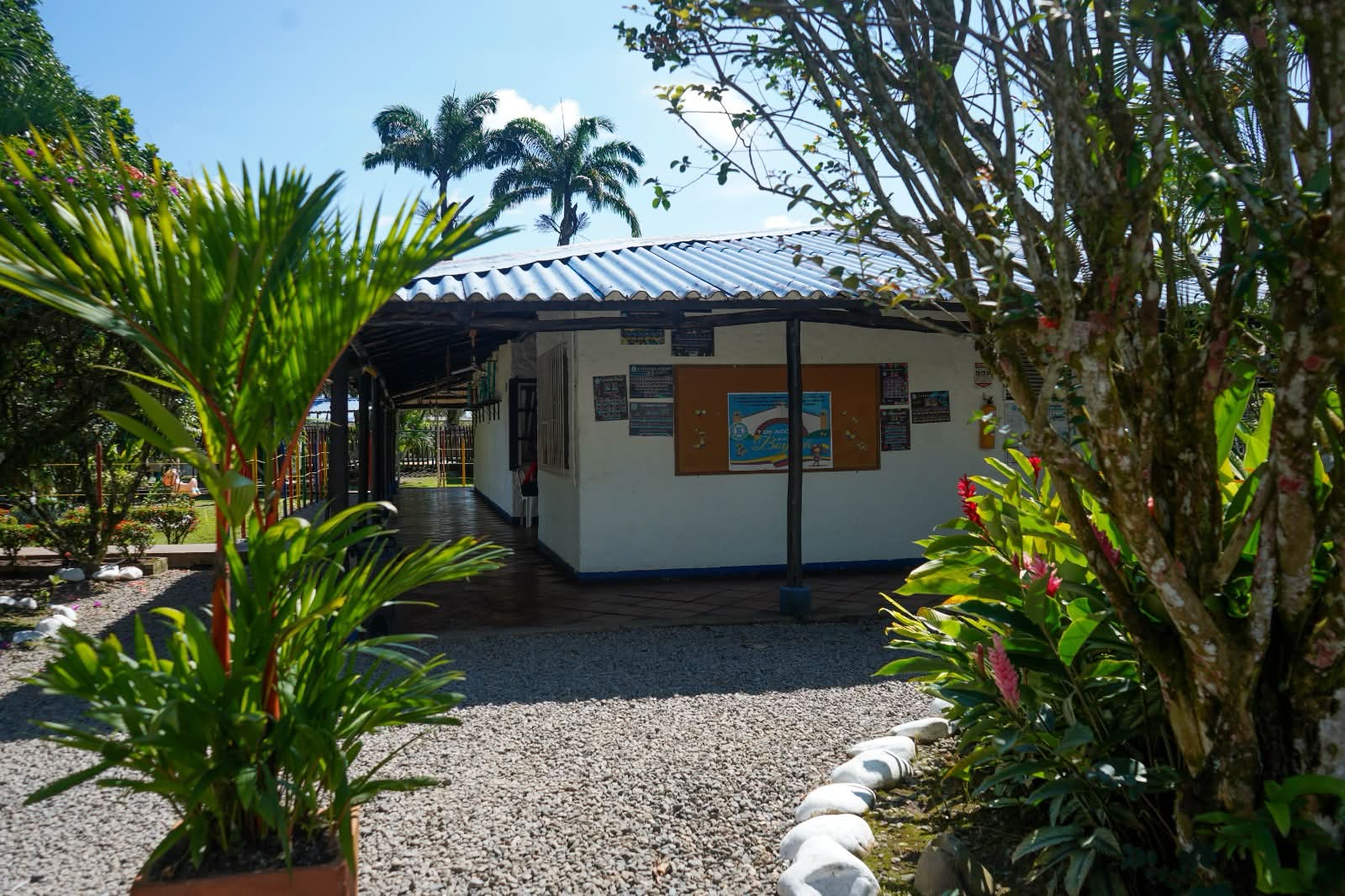 Vida escolar en Stanford School