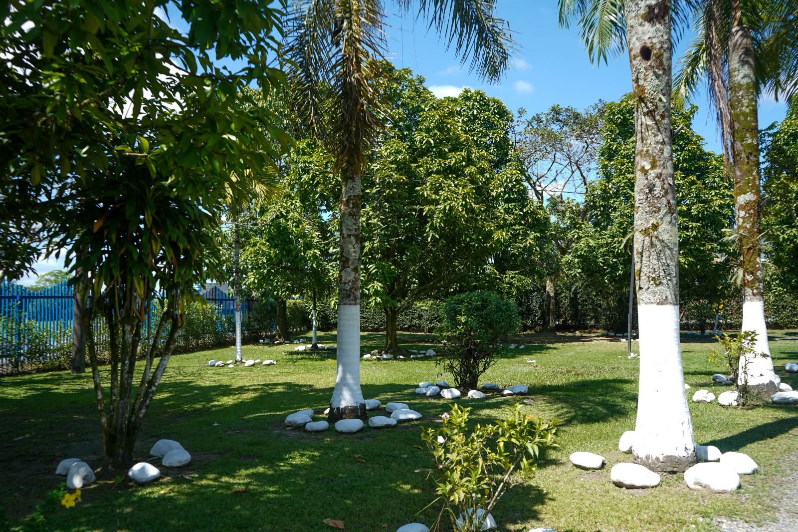 Naturaleza y aprendizaje Stanford School