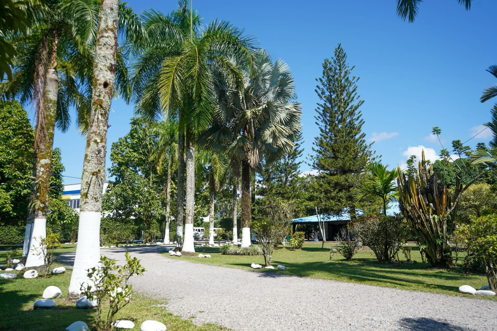 Espacios de Stanford School