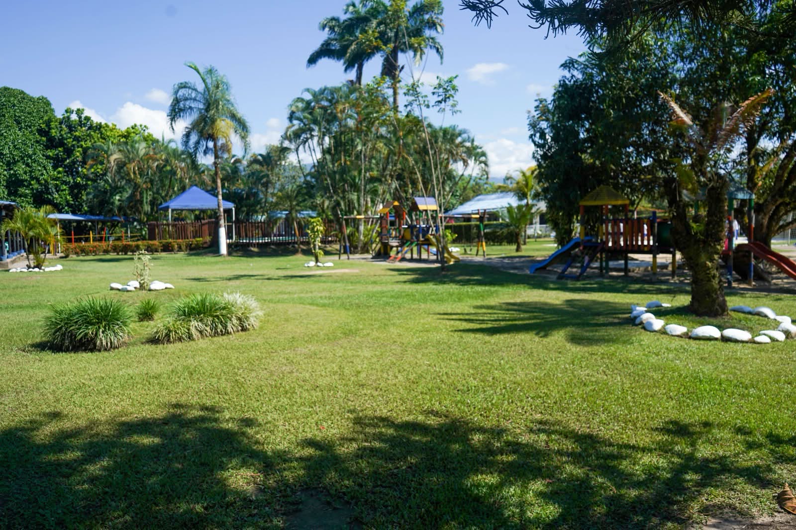 Actividades deportivas Stanford School