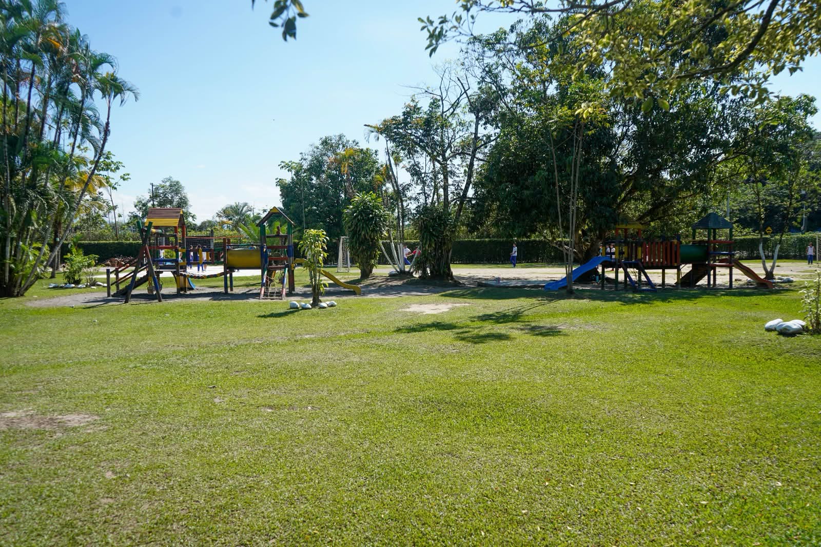 Comunidad educativa Stanford School